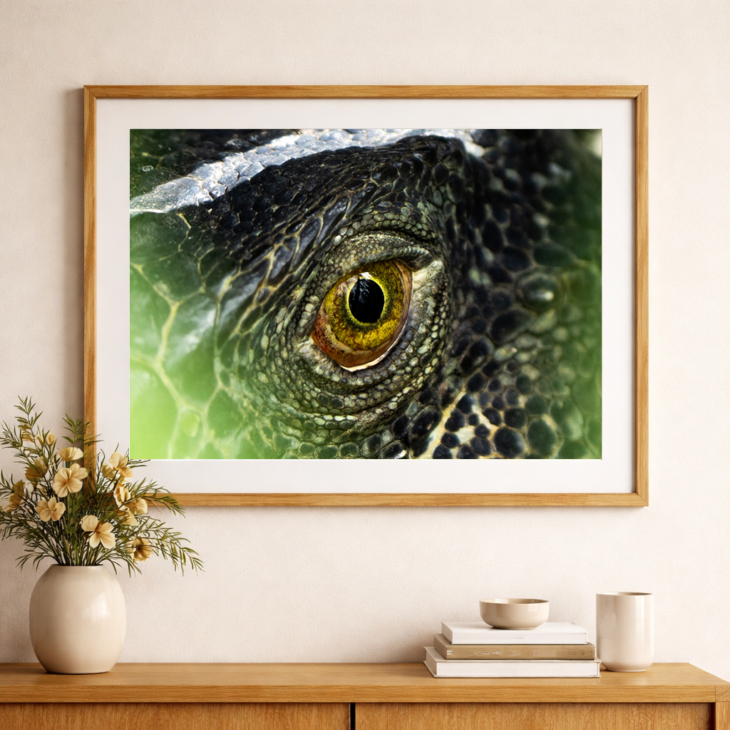 Eye of Iguana