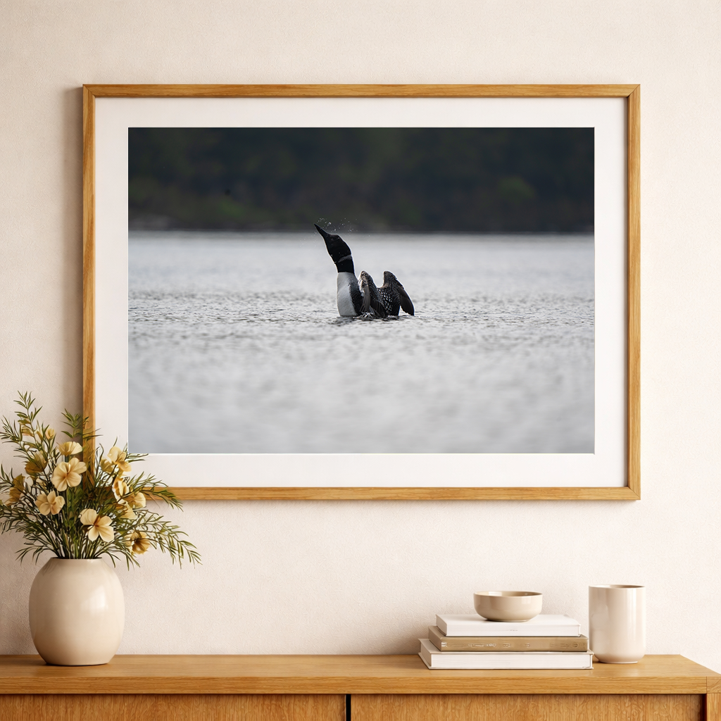 Loon