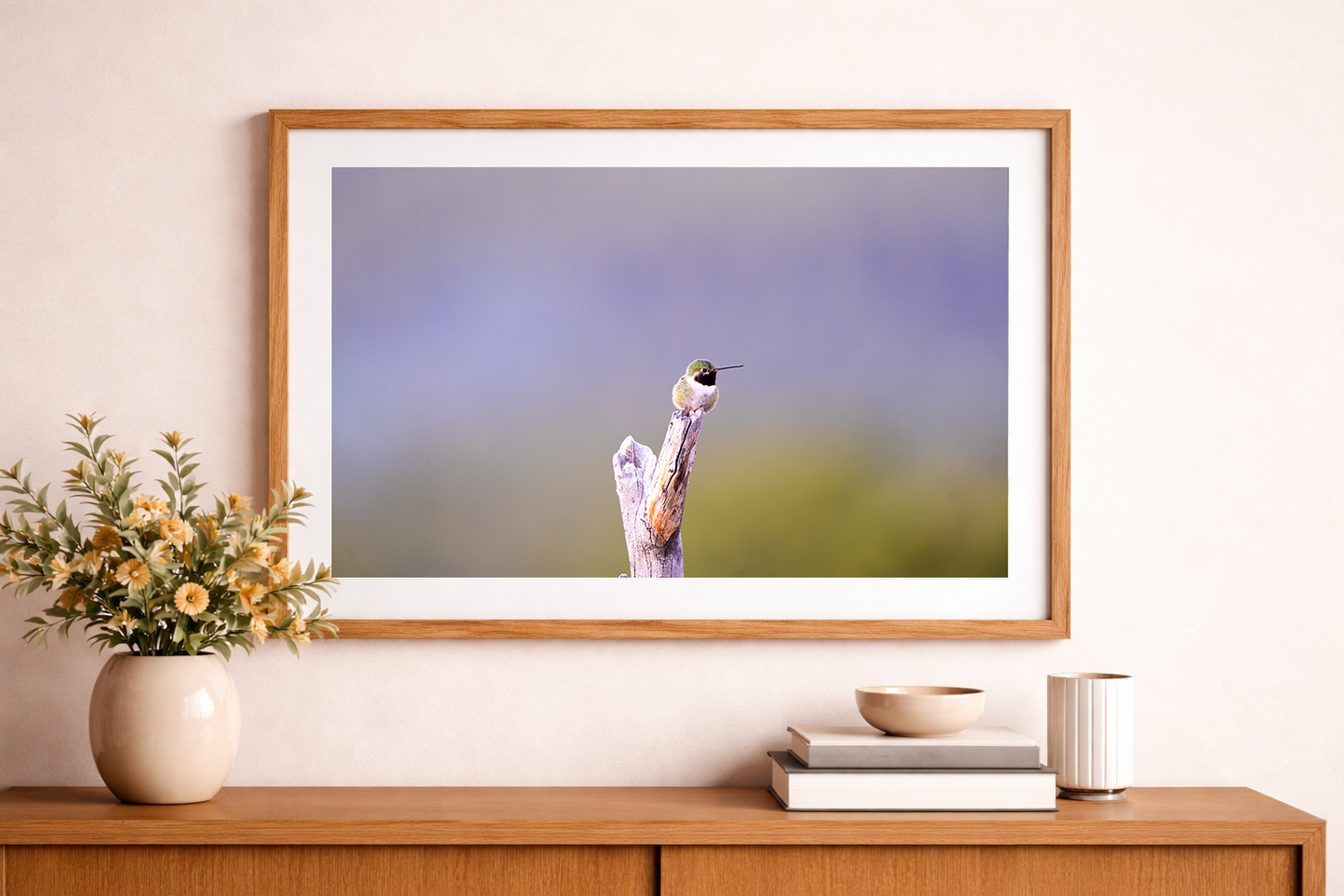Rufous Hummingbird