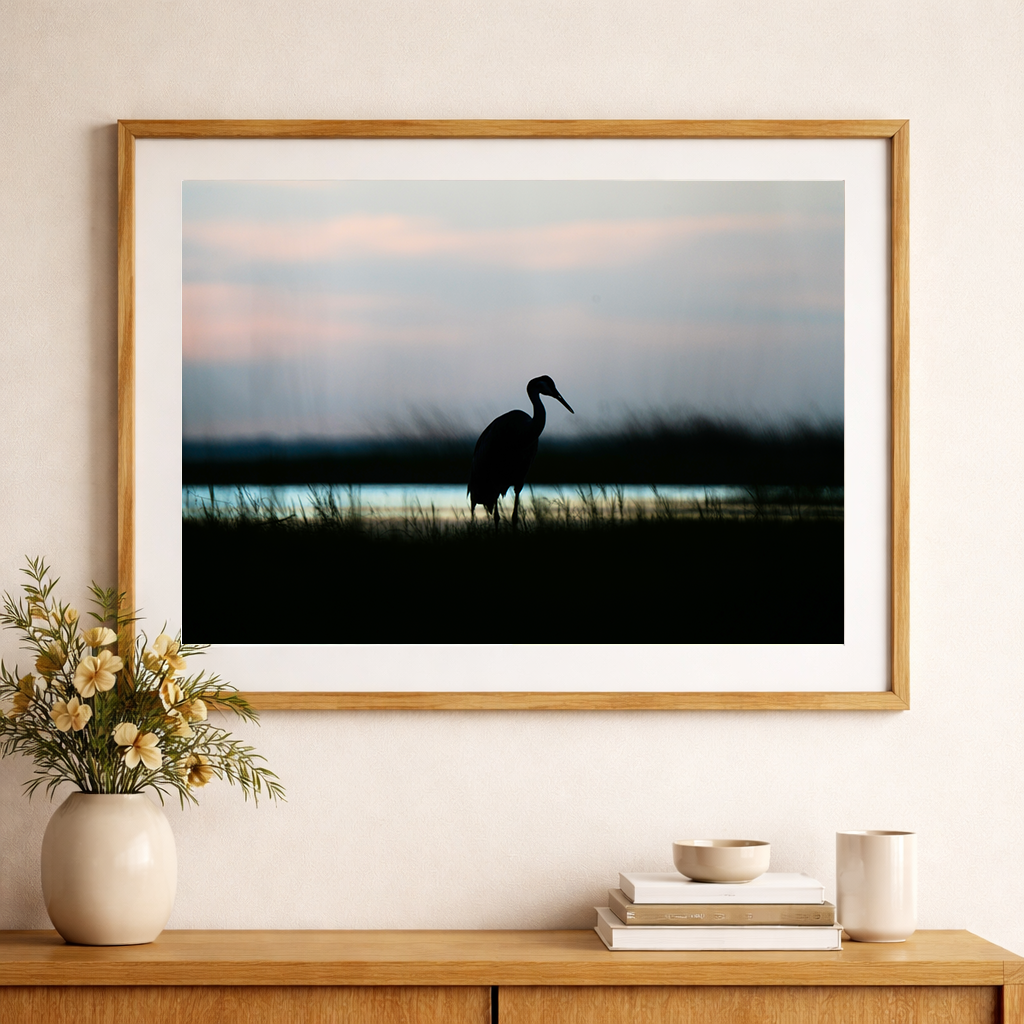 Sandhill Crane After Sunset