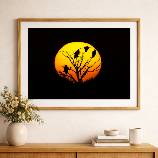 The Sun Tree